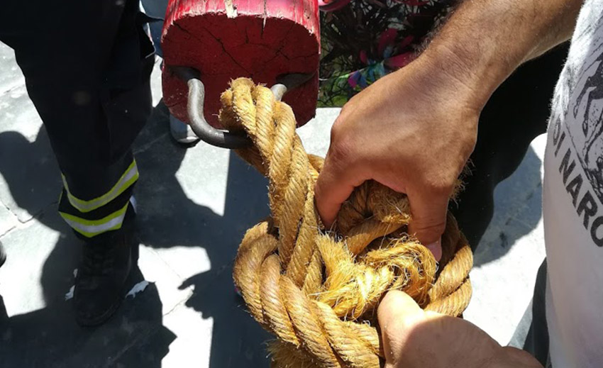 naro festa san calogero