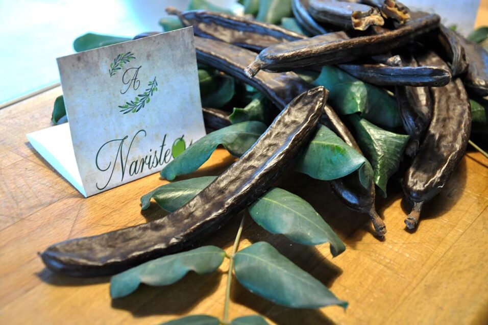 Oleificio Abbate & Figli