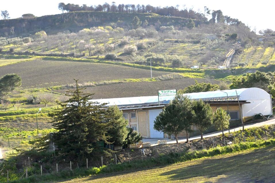 Oleificio Abbate & Figli