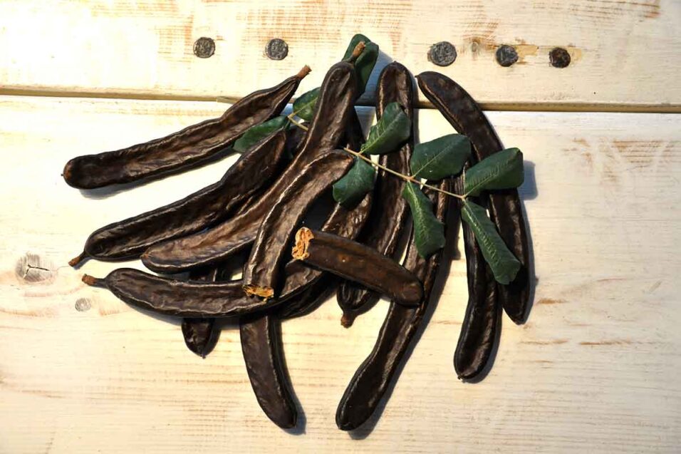 Oleificio Abbate & Figli